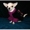 clothes-for-dogs7