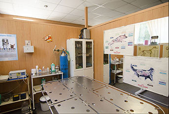 Фотография хирургического кабинета в клинике Статусвет, Харьков.