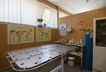 Фотография хирургического кабинета в ветеринарной клинике Статусвет, Харьков